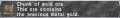 Thumbnail for version as of 02:38, 1 April 2025