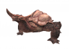 File:100px-Matamata 2.png