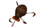 File:85px-Chigoe 1.png