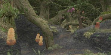 File:369px-Yhoator Jungle header.jpg