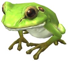 File:221px-Frog.jpg