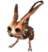 File:186px-Category-Rabbit.jpg