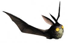 File:225px-Category-Bat.jpg